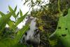 2009-09-20_ntb_8451