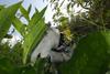 2009-09-20_ntb_8452