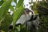 2009-09-20_ntb_8453
