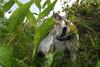 2009-09-20_ntb_8455