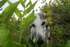 2009-09-20_ntb_8456