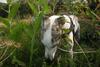 2009-09-20_ntb_8457