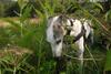 2009-09-20_ntb_8458