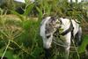 2009-09-20_ntb_8459