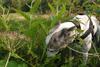 2009-09-20_ntb_8460