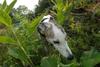 2009-09-20_ntb_8461
