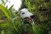 2009-09-20_ntb_8462
