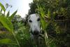 2009-09-20_ntb_8463