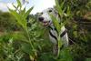 2009-09-20_ntb_8464