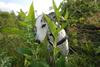 2009-09-20_ntb_8468