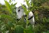 2009-09-20_ntb_8469