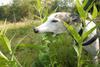 2009-09-20_ntb_8471