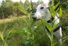 2009-09-20_ntb_8472