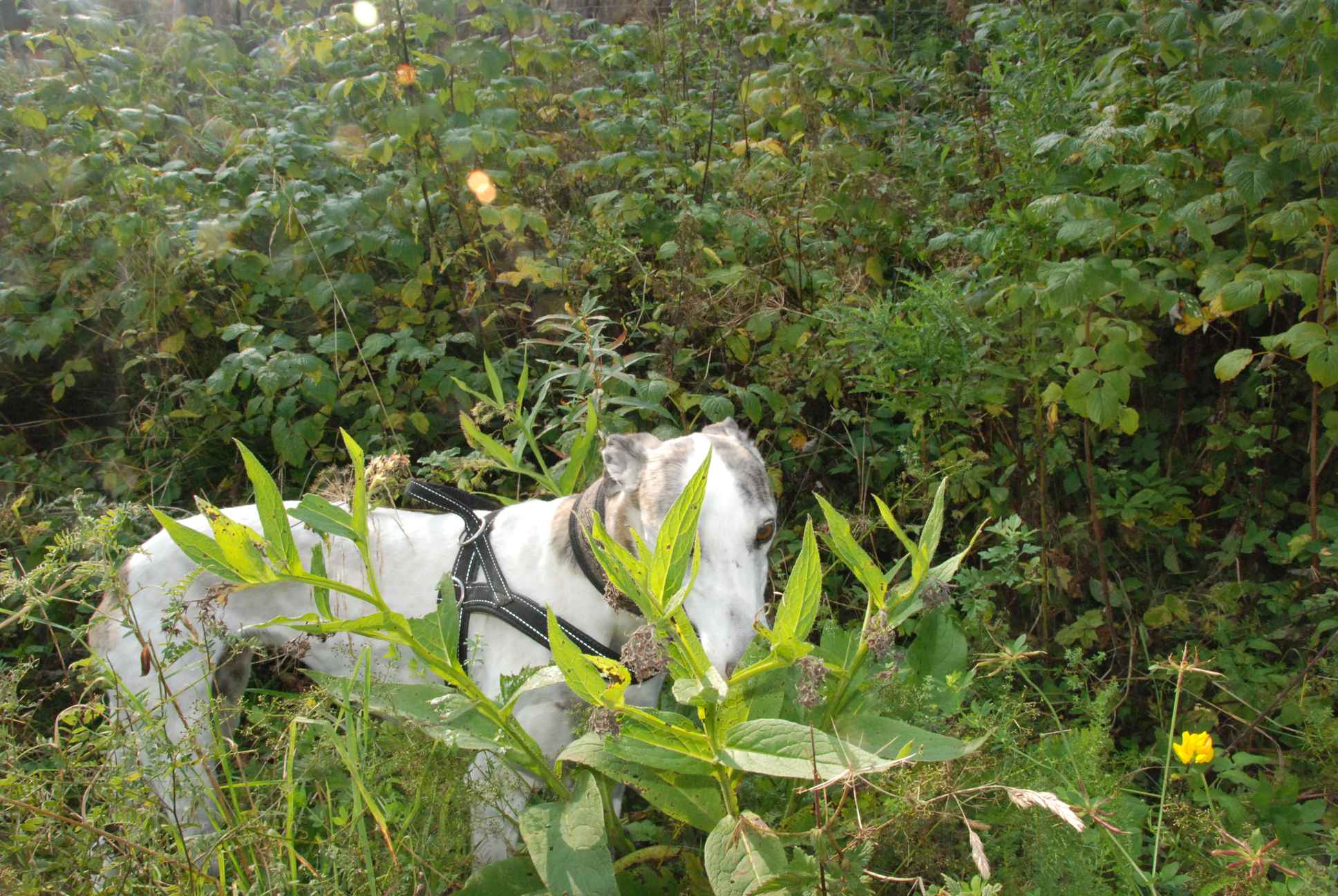 2009-09-20_ntb_8473