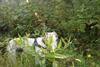 2009-09-20_ntb_8473