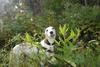 2009-09-20_ntb_8474