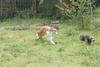 2009-09-20_ntb_8475