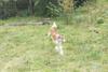2009-09-20_ntb_8476