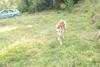 2009-09-20_ntb_8477