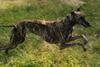 2009-09-20_ntb_8479