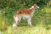 2009-09-20_ntb_8481