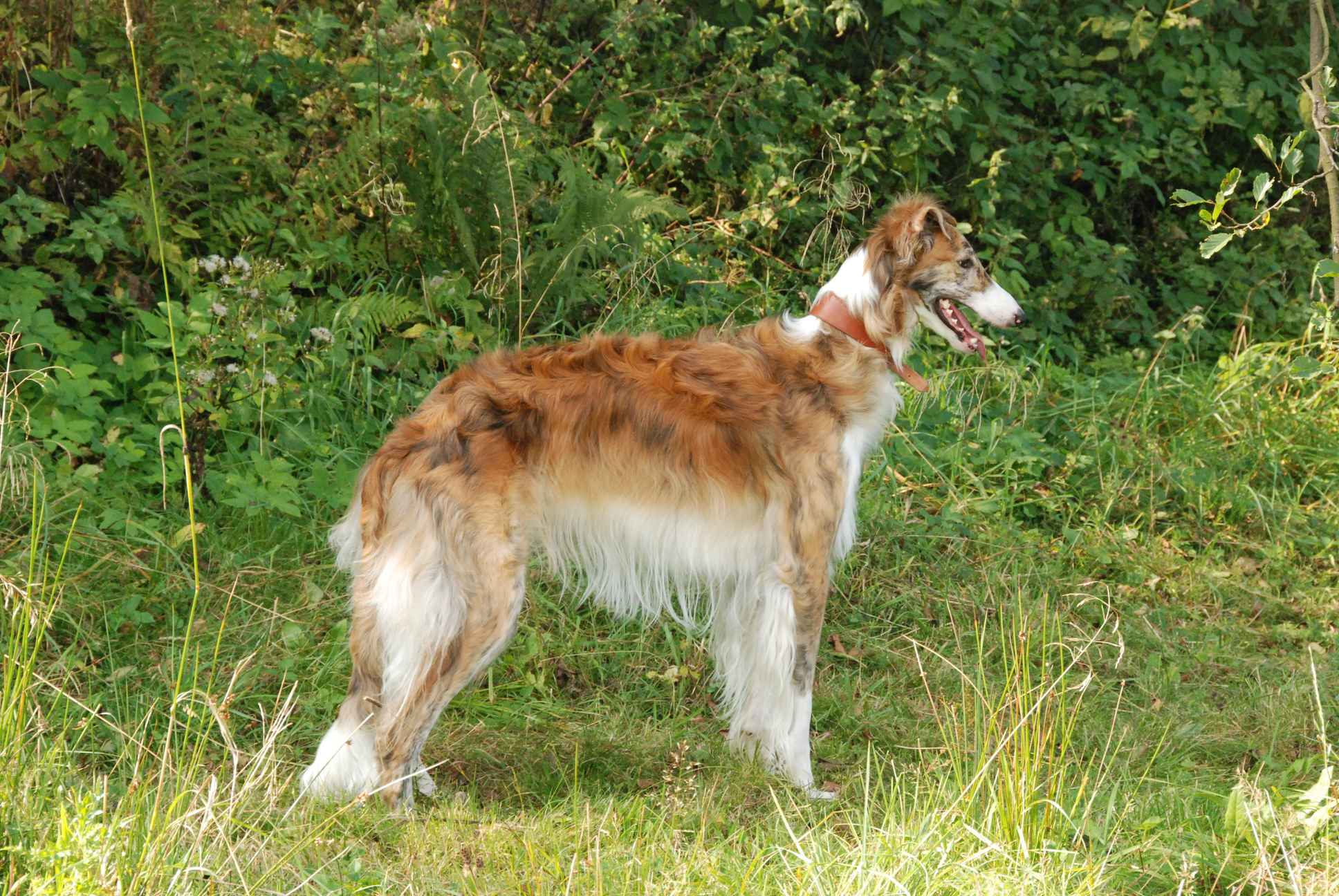 2009-09-20_ntb_8482
