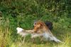 2009-09-20_ntb_8483