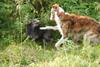2009-09-20_ntb_8485