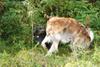 2009-09-20_ntb_8486