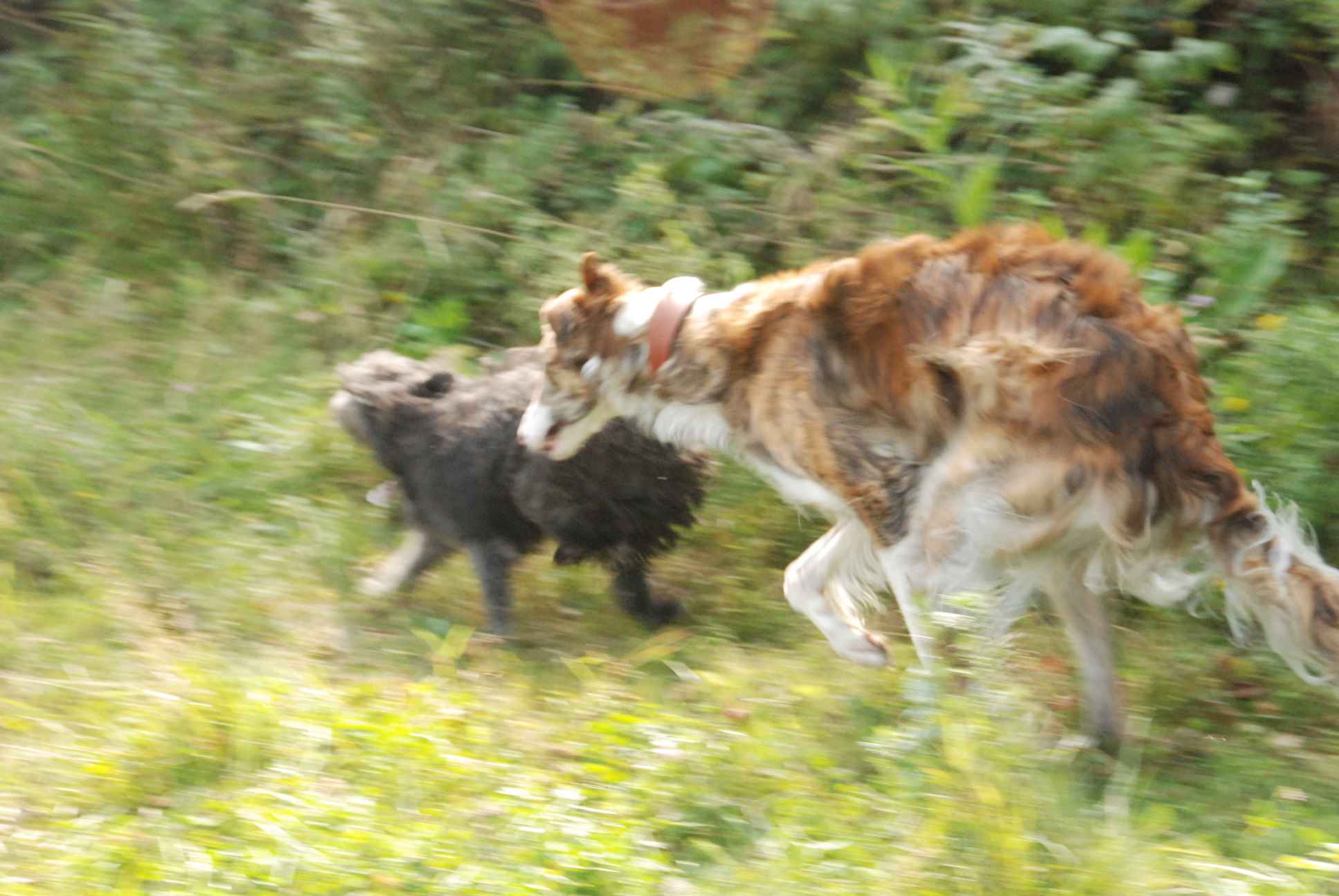 2009-09-20_ntb_8489