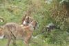 2009-09-20_ntb_8499