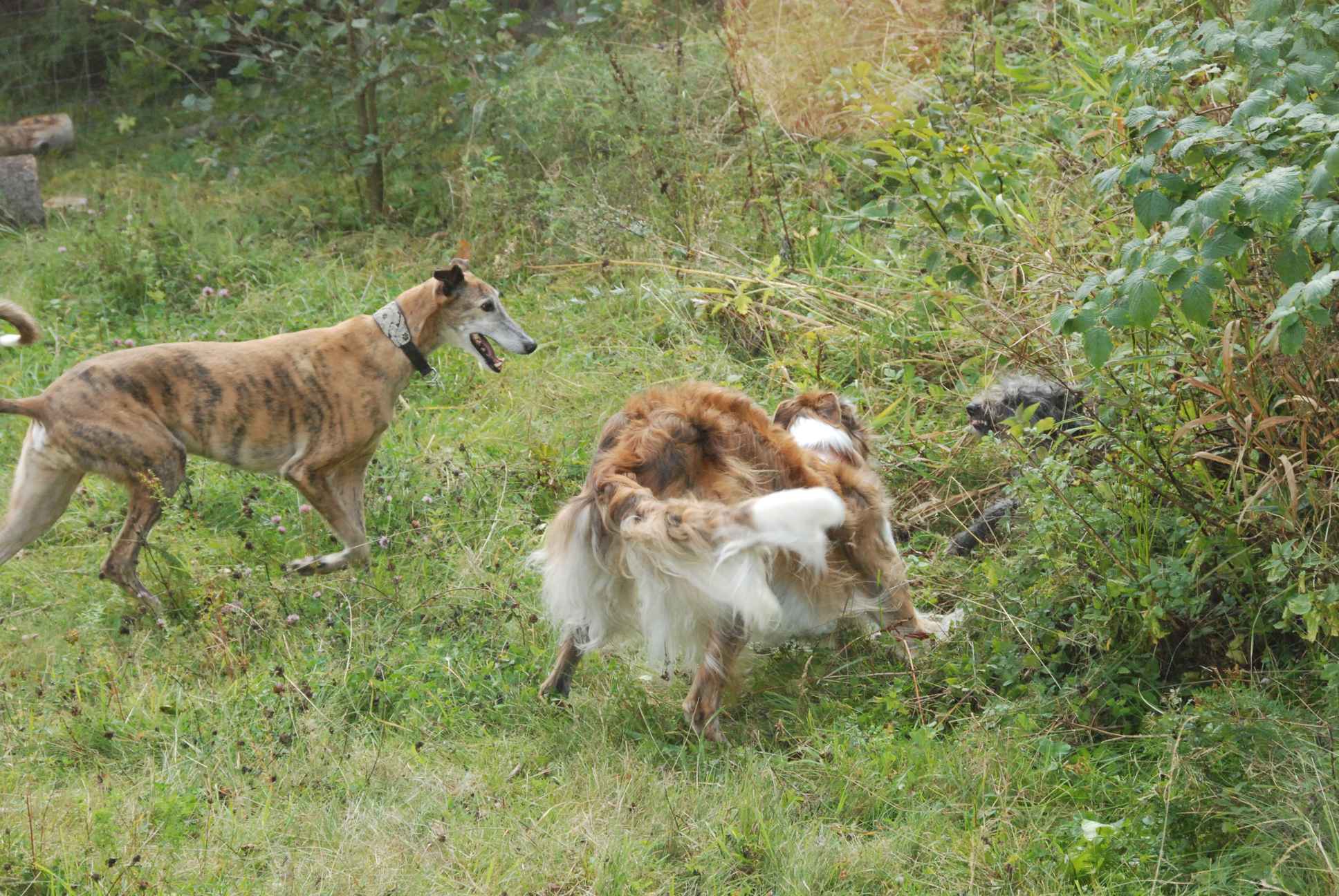 2009-09-20_ntb_8504