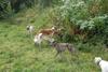 2009-09-20_ntb_8506