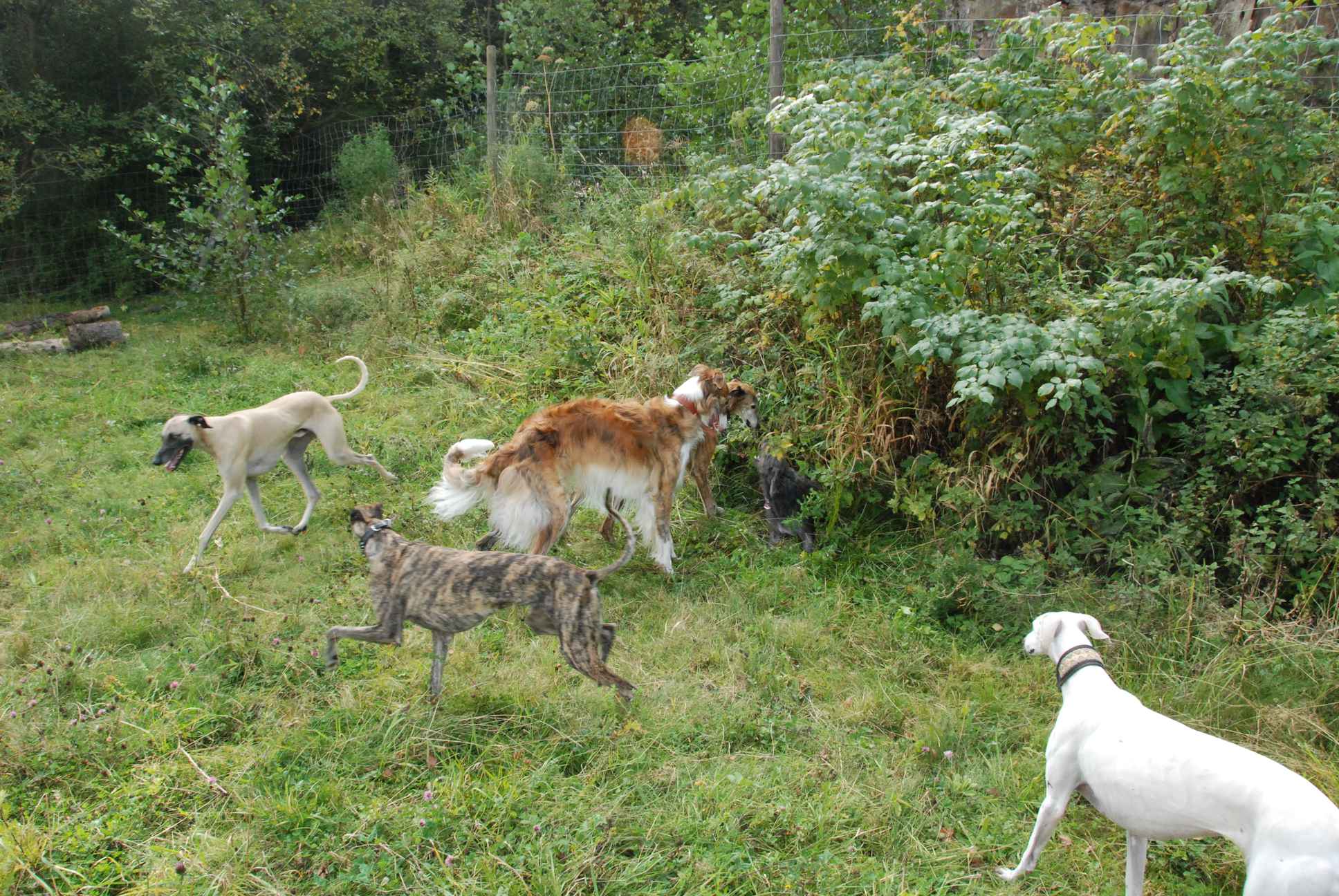 2009-09-20_ntb_8507