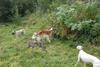 2009-09-20_ntb_8507
