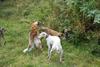 2009-09-20_ntb_8509