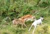 2009-09-20_ntb_8511