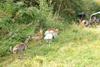 2009-09-20_ntb_8512