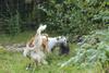 2009-09-20_ntb_8515