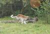 2009-09-20_ntb_8516