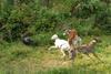 2009-09-20_ntb_8518