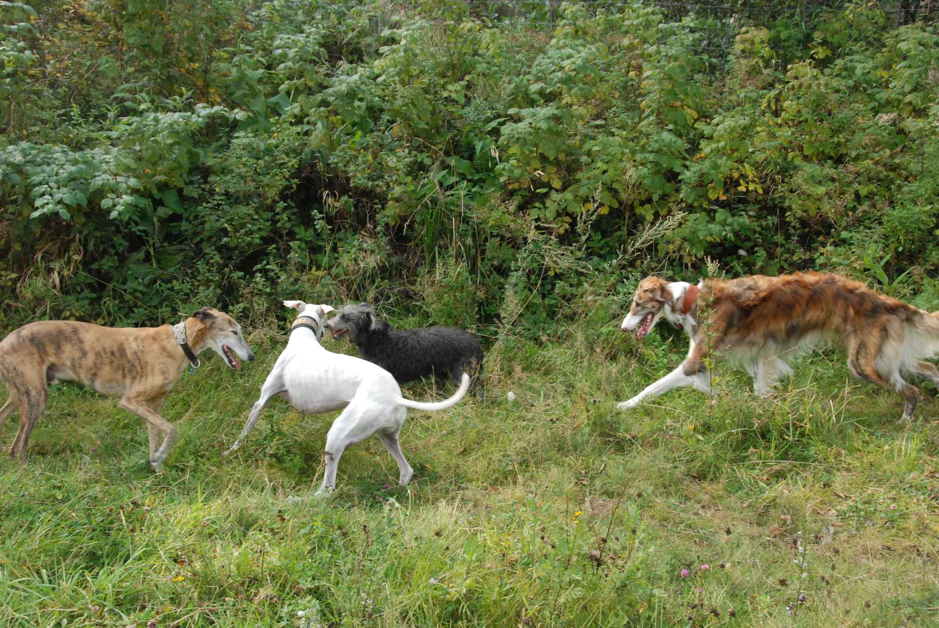 2009-09-20_ntb_8519