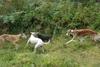 2009-09-20_ntb_8519