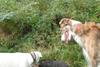 2009-09-20_ntb_8522
