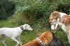 2009-09-20_ntb_8523