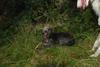 2009-09-20_ntb_8524