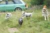 2009-09-20_ntb_8526