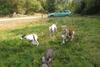 2009-09-20_ntb_8527