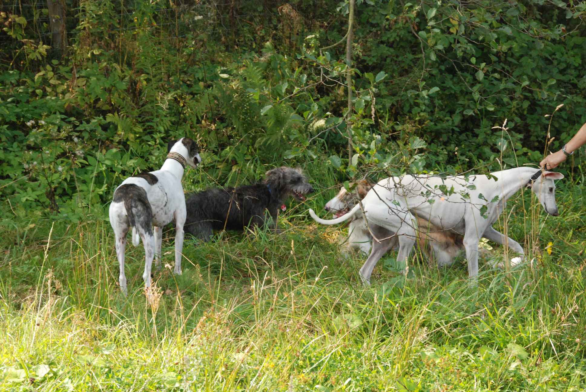 2009-09-20_ntb_8528