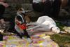 2009-09-20_ntb_8535
